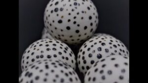 Phoenix Savage - Fulbright Scholar Program