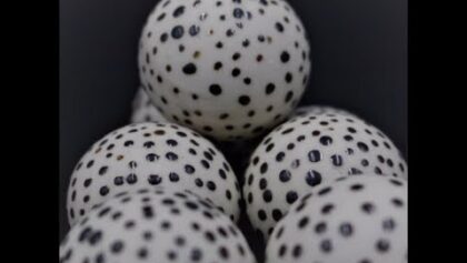 Phoenix Savage - Fulbright Scholar Program