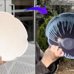 709. Learning How to Apply Glaze Inside of a Large Bowl without being too Thick with Hsin-Chuen Lin