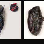 Sana Musasama   Outstanding Achievement