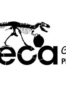 Blinc 20:20 doubletake