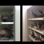 Collaborate! Cross Disciplines