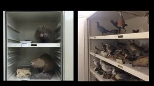 Collaborate! Cross Disciplines