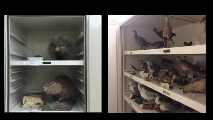 Collaborate! Cross Disciplines