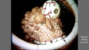 Of Cow Piles & Caveats