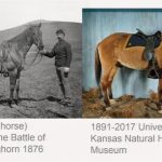 Clay Fab Lab Lecture: Digital Archeology